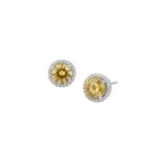 Citrine Sunlight Halo Ear Studs